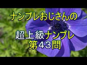 【ナンプレ数独解き方】隠れ四角形テクニックは、Unique Rectangleの応用テクニックです。それにしても、数独は奥が深いですね。
