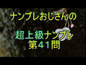 【ナンプレ数独解き方】解ければ、素晴らしい実力です。最後が難関です。