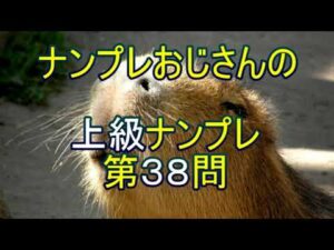 【ナンプレ数独解き方】Unique Rectangle が、勘違いし易いのでご注意ください。