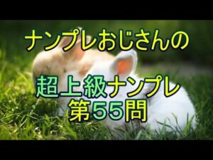 【ナンプレ数独解き方】最初に見つけるものが重要で、そこからUnique Rectangleへとつながります。