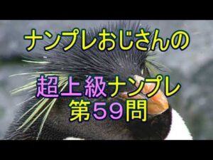 【ナンプレ数独解き方】W-Wing、XY-Wing、Unique Rectangle を次々に見つけていきます。