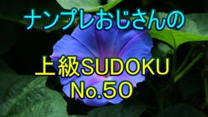 【ナンプレ数独解き方】2-String Kite を、ダブルで使います。